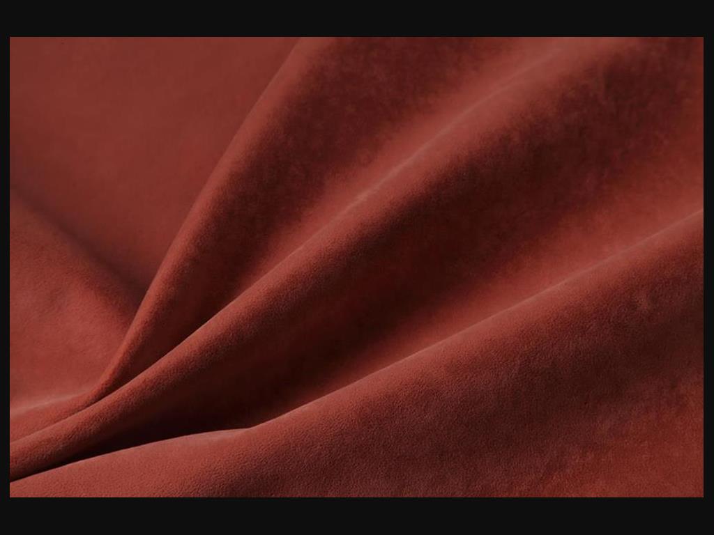 3629